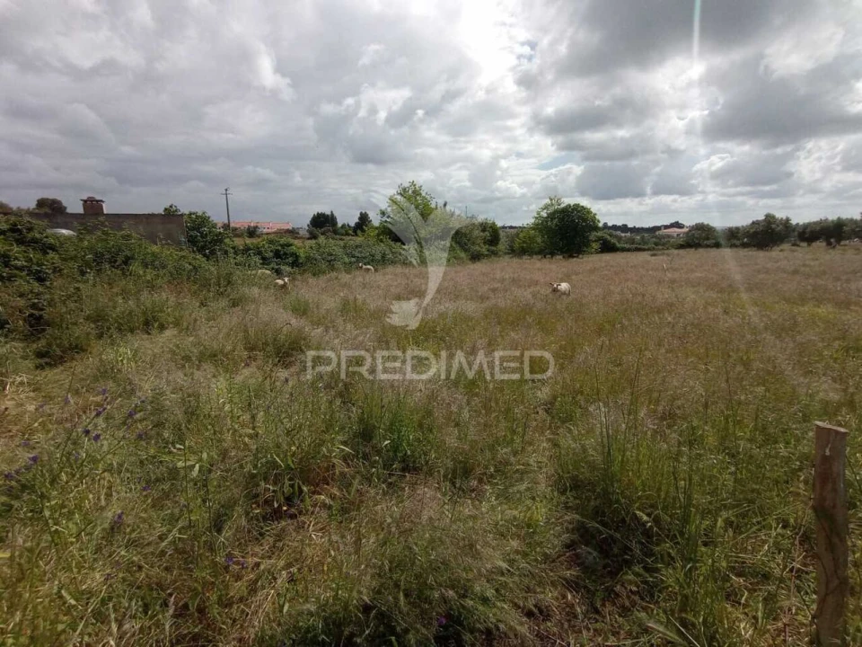 Quinta T3 para Venda em Vila Nova de Milfontes Foto 20