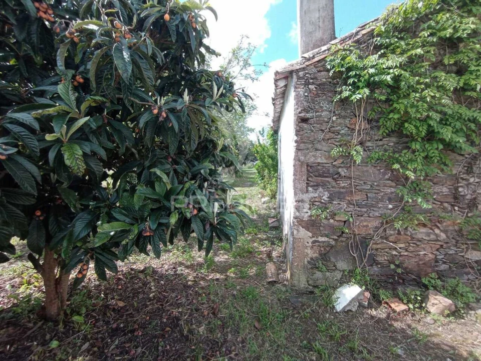 Quinta T3 para Venda em Vila Nova de Milfontes Foto 8