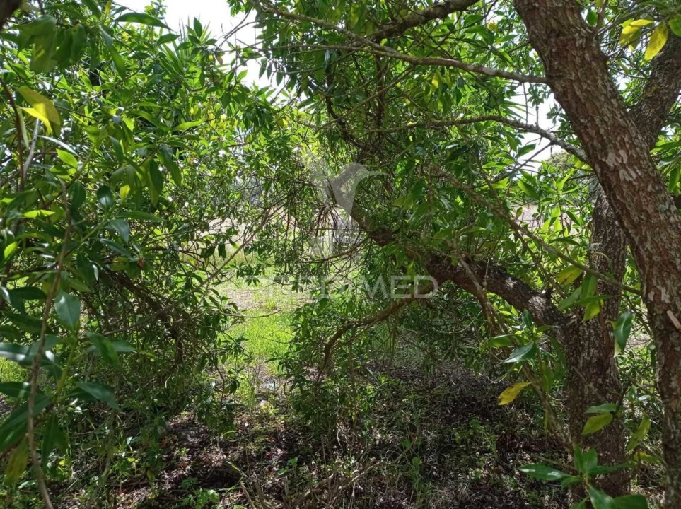 Quinta T3 para Venda em Vila Nova de Milfontes Foto 22