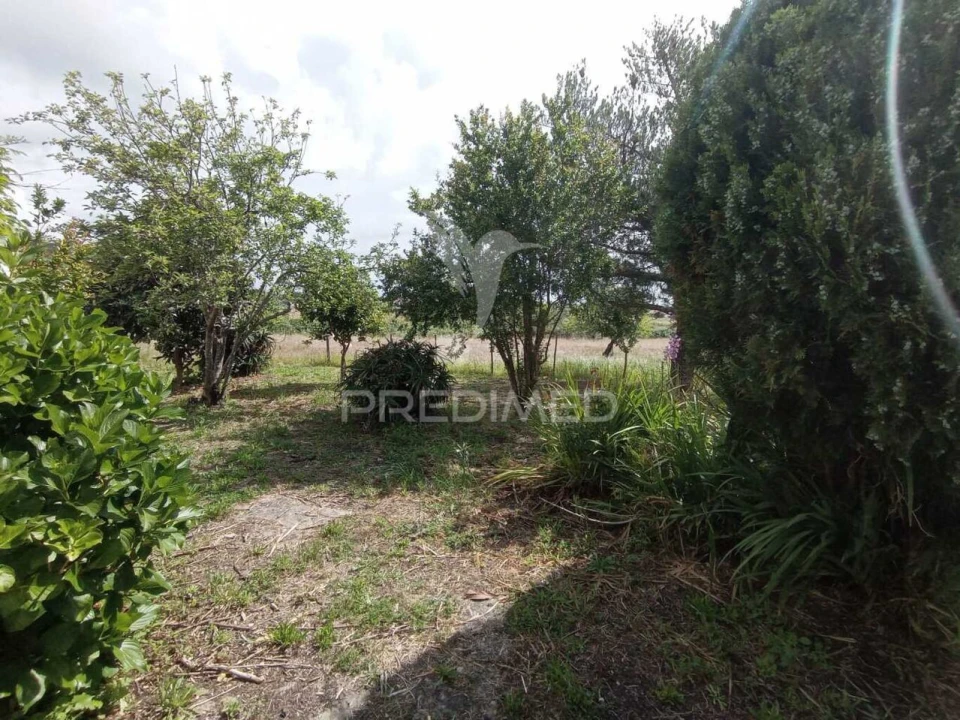 Quinta T3 para Venda em Vila Nova de Milfontes Foto 16