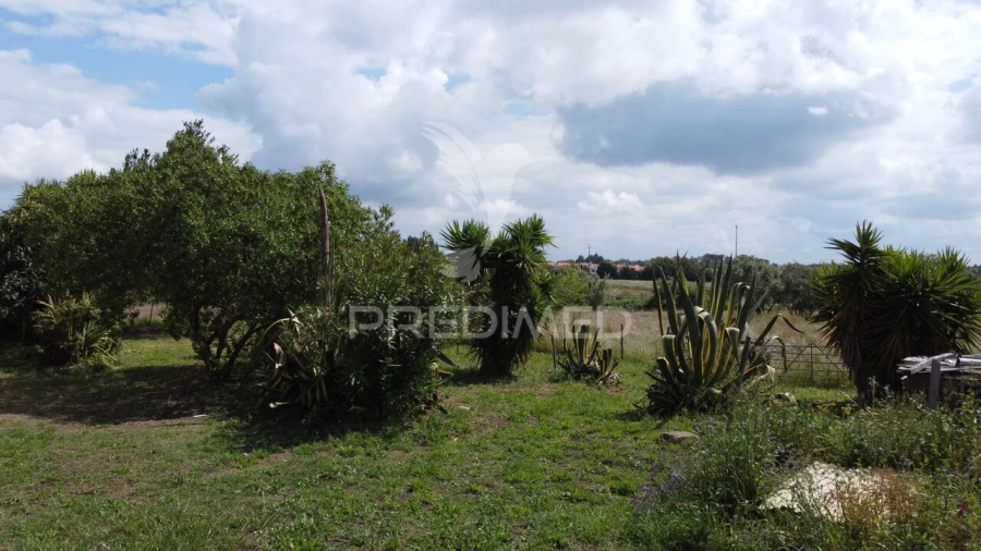 Quinta T3 para Venda em Vila Nova de Milfontes Foto 31