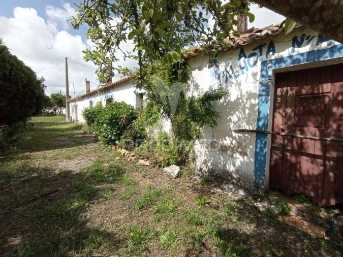 Quinta T3 para Venda em Vila Nova de Milfontes Foto 3