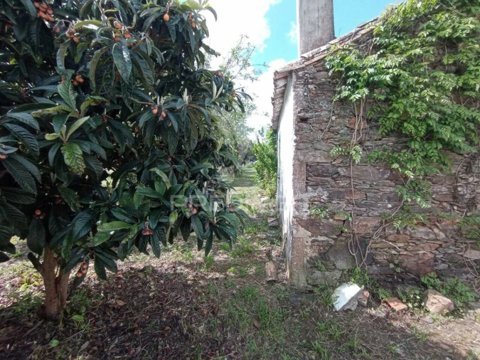 Quinta T3 para Venda em Vila Nova de Milfontes Foto 8