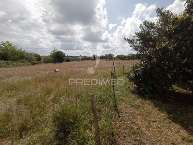 Quinta T3 para Venda em Vila Nova de Milfontes Foto 4