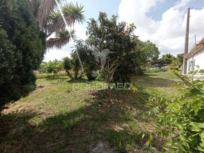 Quinta T3 para Venda em Vila Nova de Milfontes Foto 7