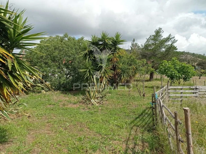 Quinta T3 para Venda em Vila Nova de Milfontes Foto 15