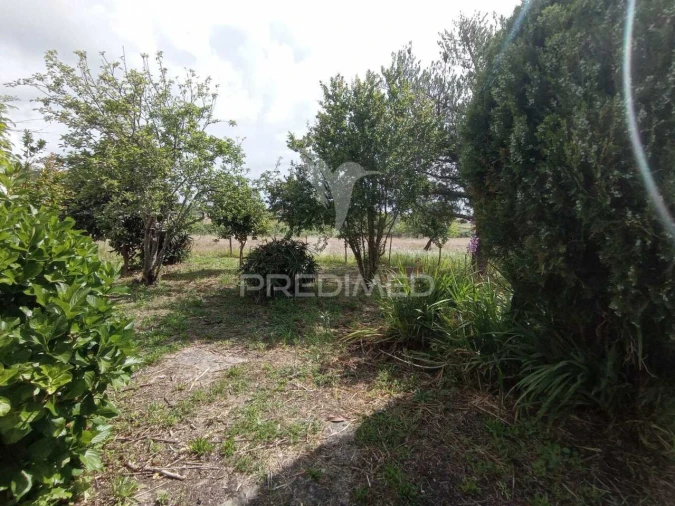 Quinta T3 para Venda em Vila Nova de Milfontes Foto 16