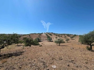 Terreno para Venda em Castro Marim
