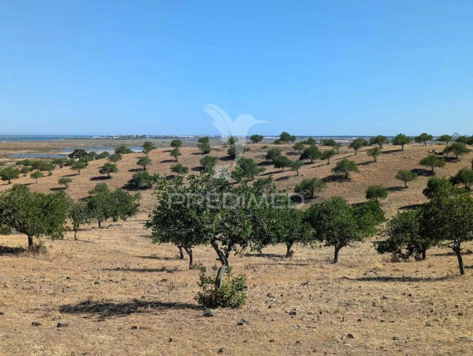 Terreno para Venda em Castro Marim Foto 8