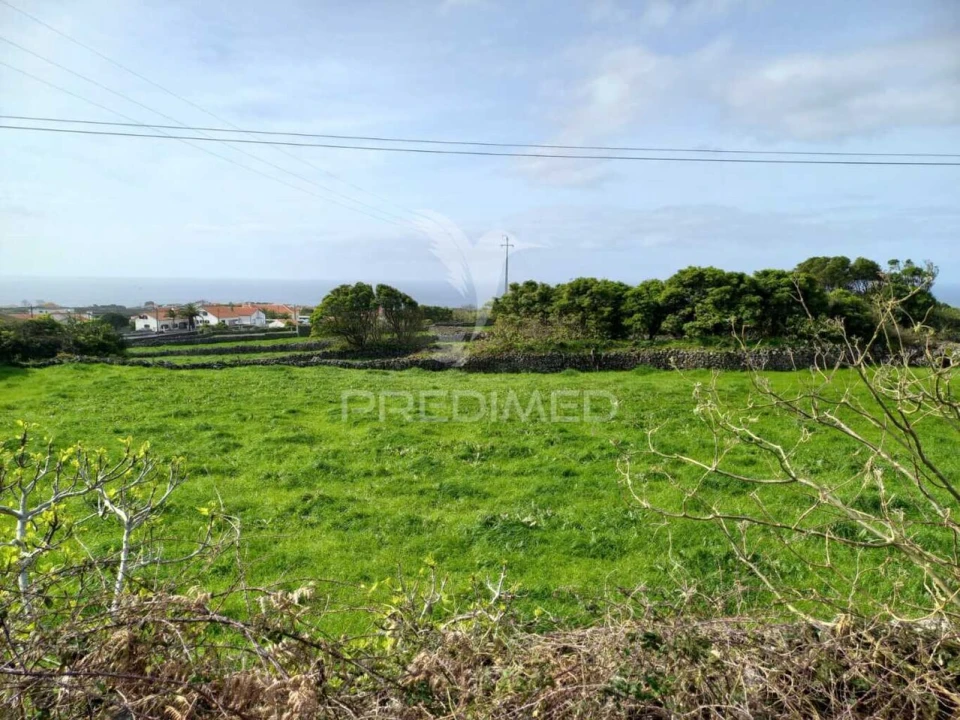 Terreno para Venda em São Bartolomeu de Regatos Foto 12