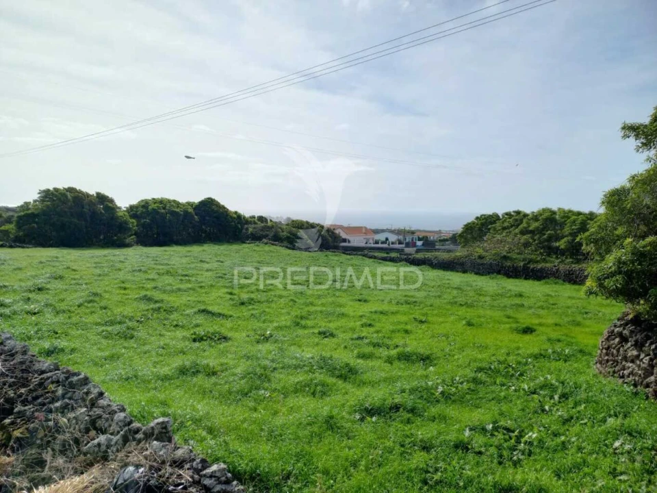 Terreno para Venda em São Bartolomeu de Regatos Foto 19