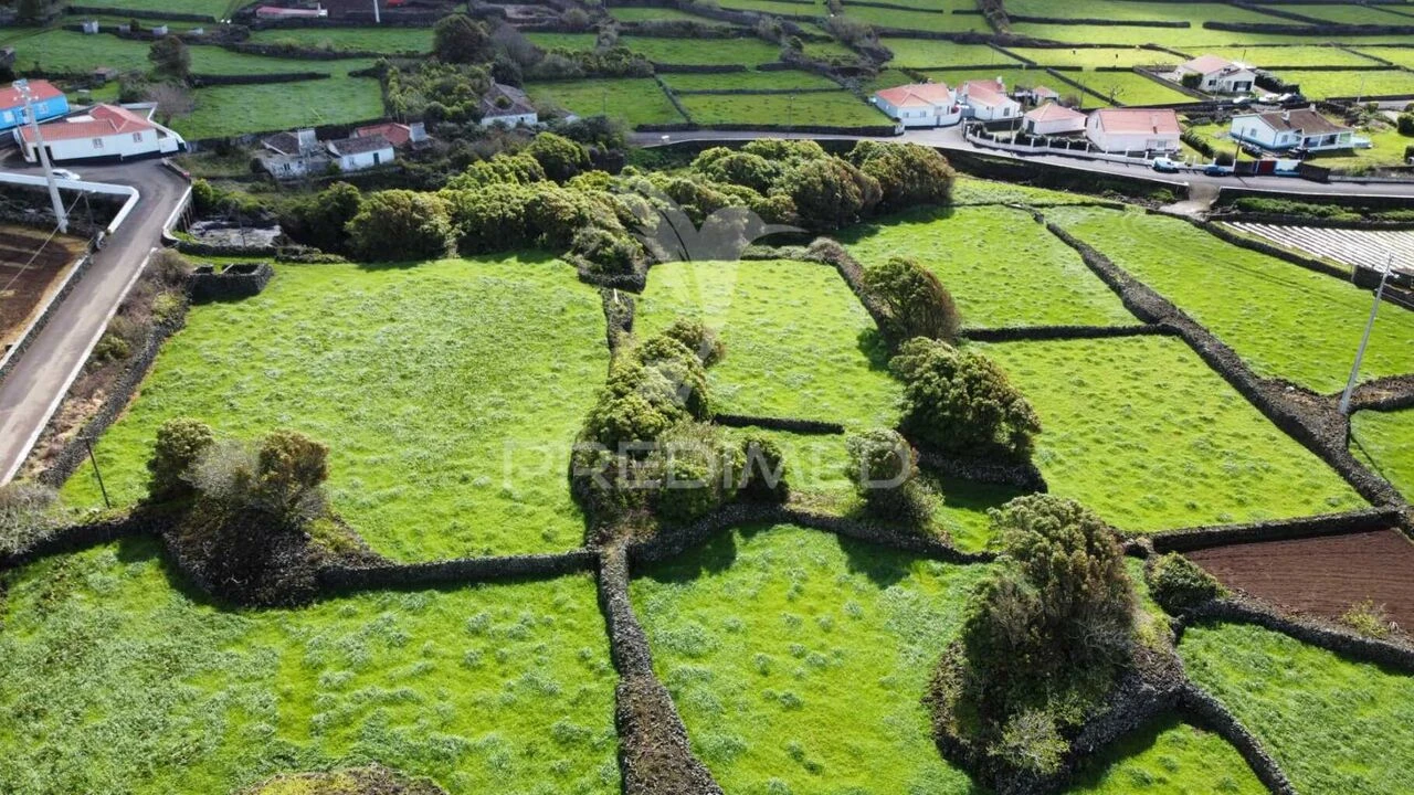 Terreno para Venda em São Bartolomeu de Regatos Foto 2