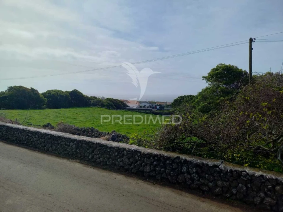 Terreno para Venda em São Bartolomeu de Regatos Foto 7