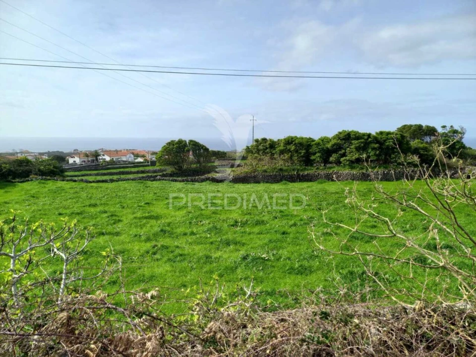 Terreno para Venda em São Bartolomeu de Regatos Foto 16