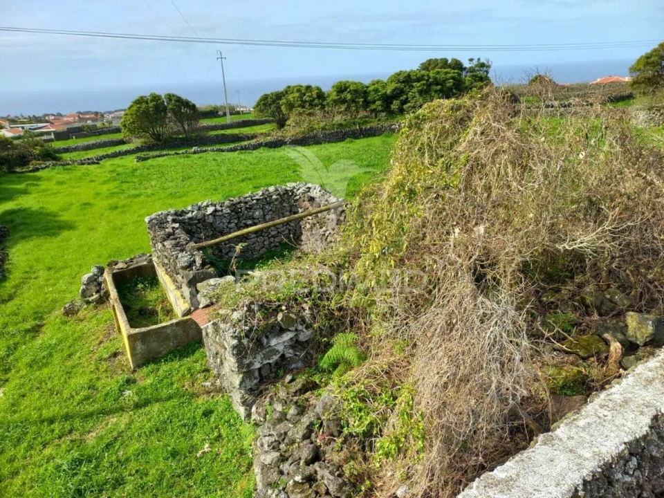 Terreno para Venda em São Bartolomeu de Regatos Foto 22