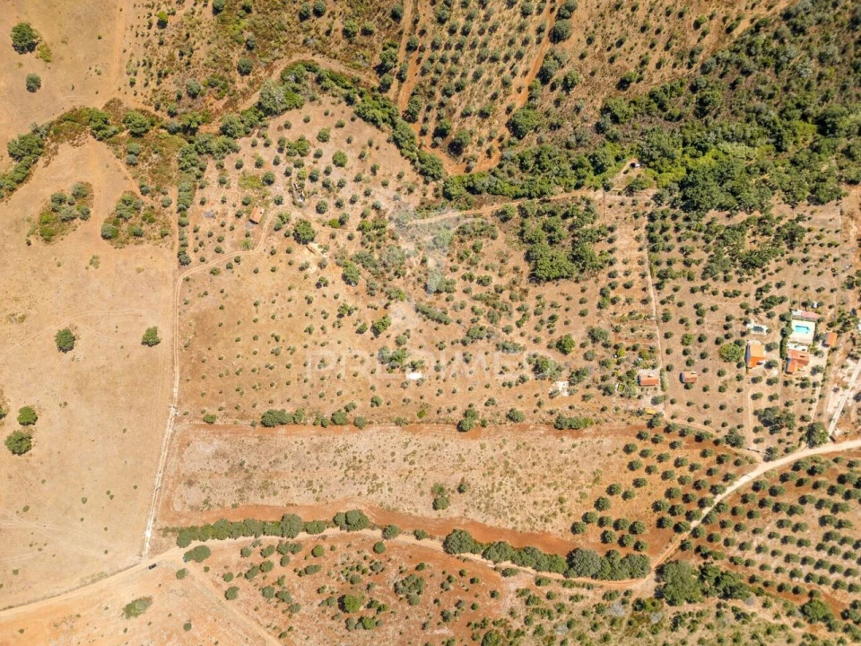 Quinta T4 para Venda em Montargil Foto 11