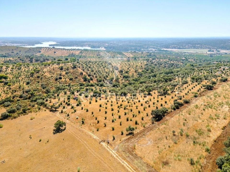 Quinta T4 para Venda em Montargil Foto 13
