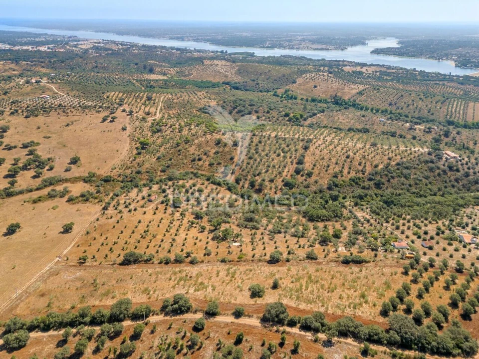 Quinta T4 para Venda em Montargil Foto 8