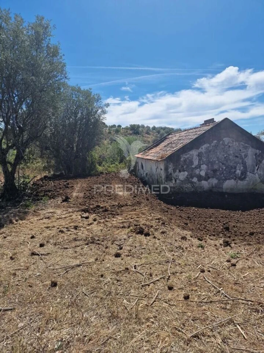 Quinta T4 para Venda em Montargil Foto 3