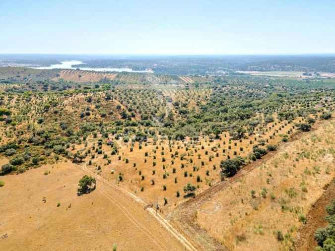 Quinta T4 para Venda em Montargil Foto 13
