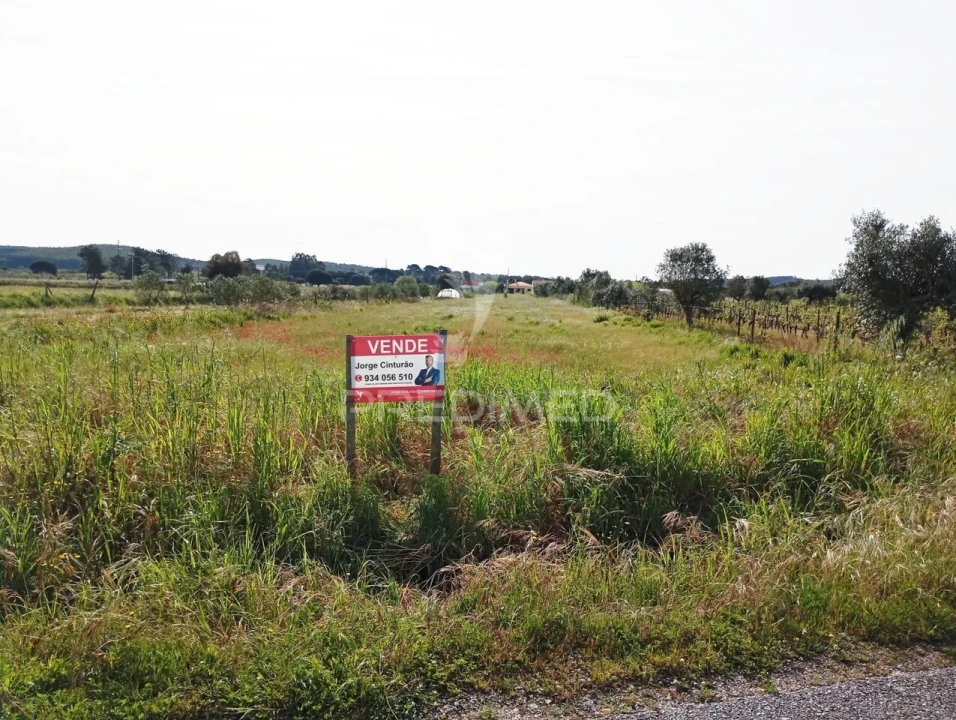 Terreno para Venda em Alpiarça Foto 4