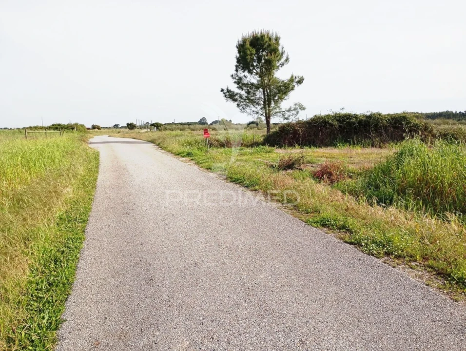 Terreno para Venda em Alpiarça Foto 2