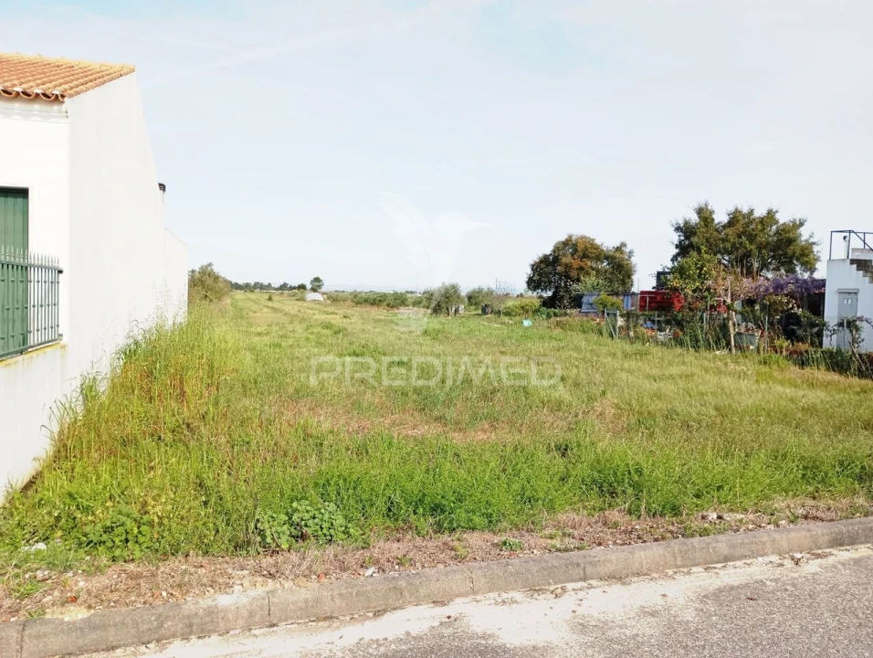 Terreno para Venda em Alpiarça Foto 6