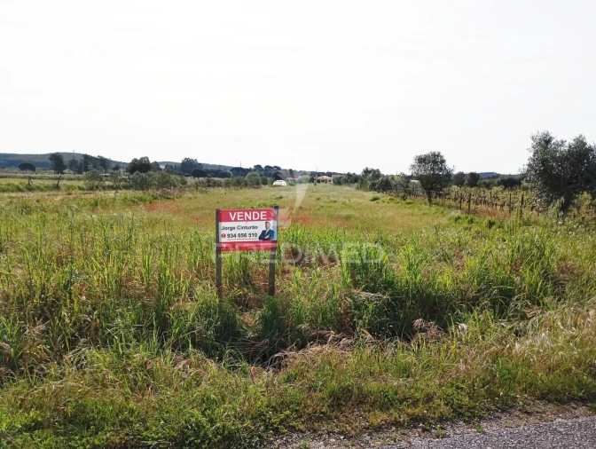 Terreno para Venda em Alpiarça Foto 4