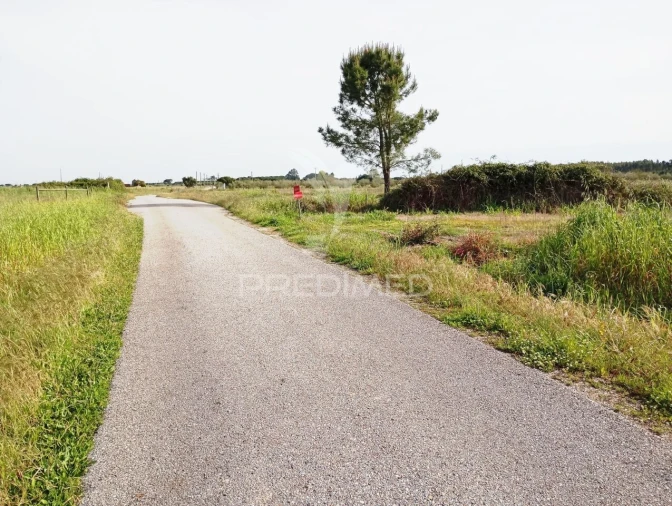 Terreno para Venda em Alpiarça Foto 2