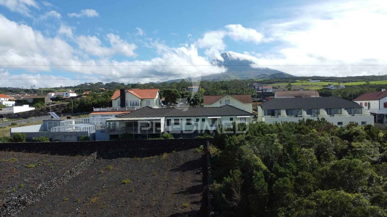 Negócio para Venda em Criação Velha Foto 1