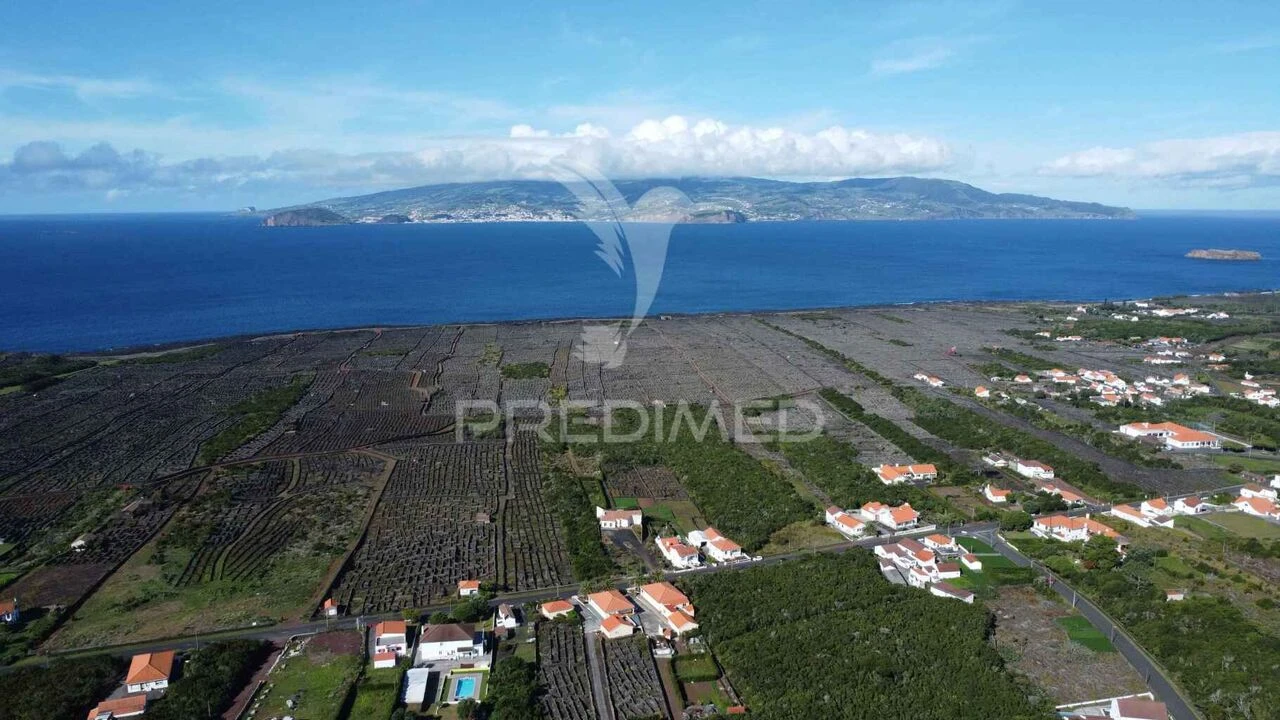 Negócio para Venda em Criação Velha Foto 3