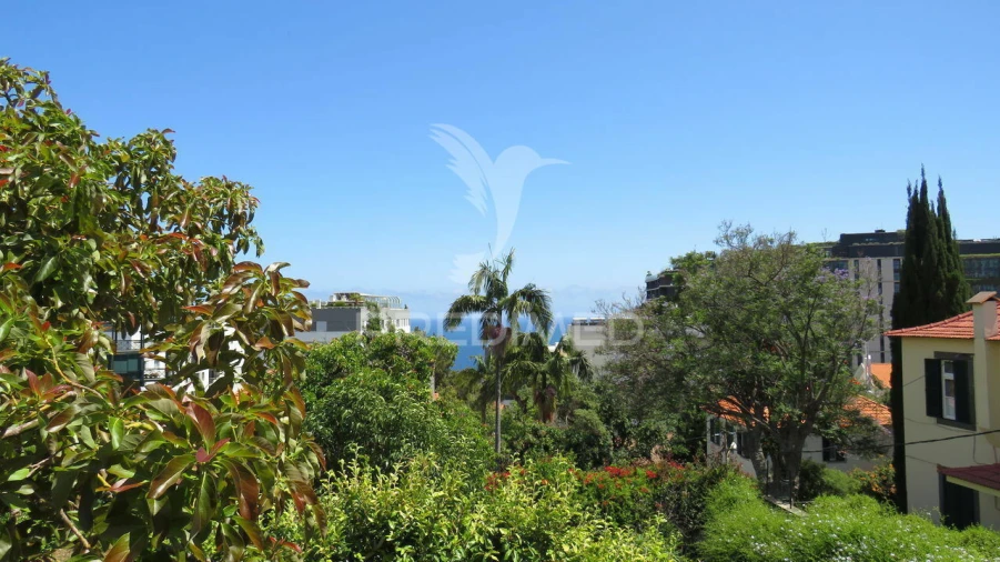 Moradia T4 para Venda em Funchal (Se) Foto 1