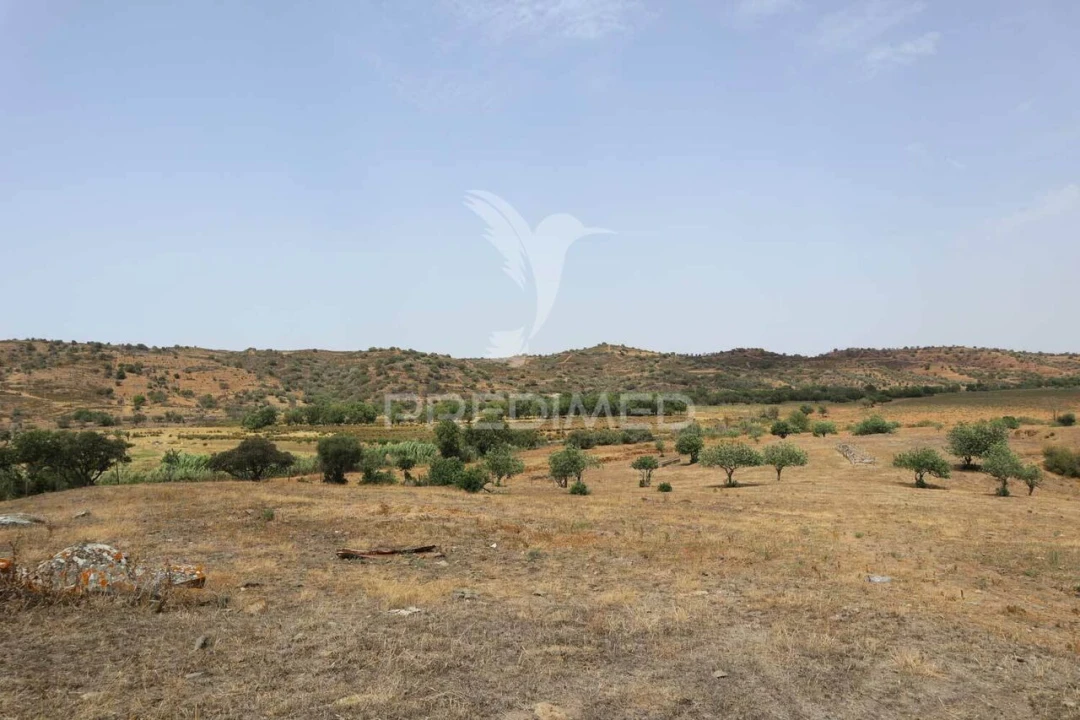 Quinta T3 para Venda em Castro Marim Foto 27