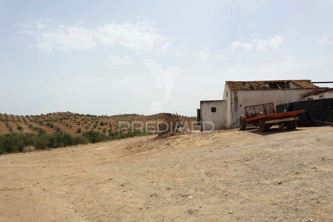 Quinta T3 para Venda em Castro Marim Foto 15