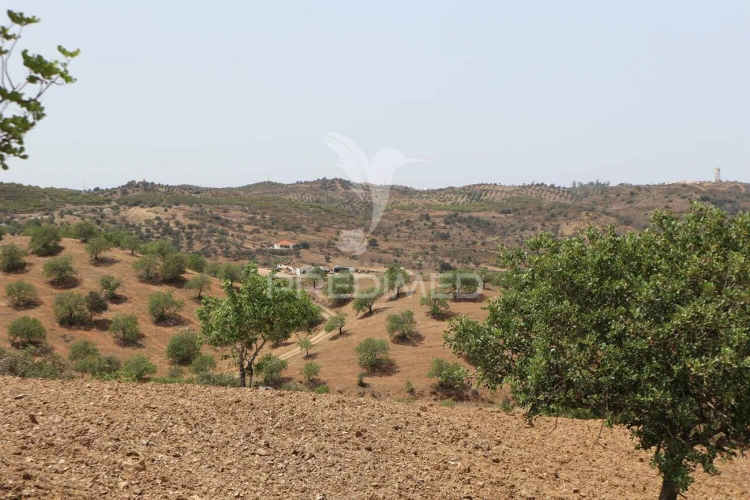 Quinta T3 para Venda em Castro Marim Foto 10