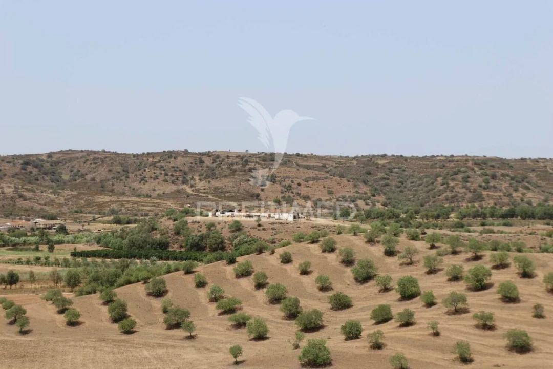 Quinta T3 para Venda em Castro Marim Foto 9