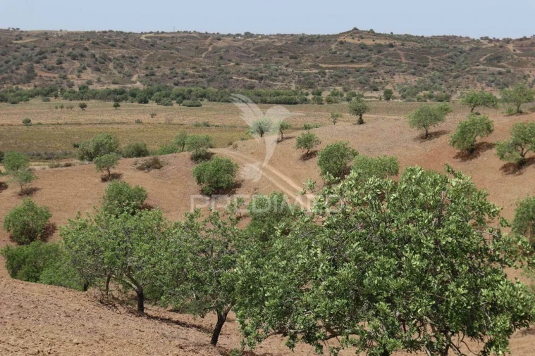 Quinta T3 para Venda em Castro Marim Foto 17