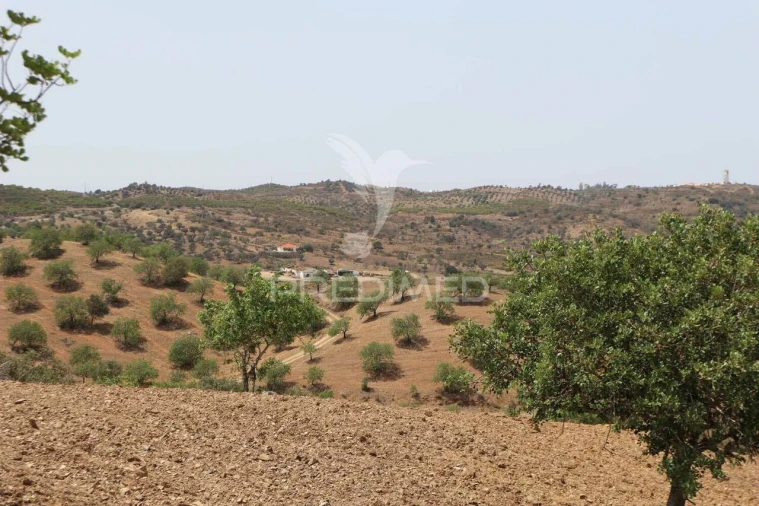 Quinta T3 para Venda em Castro Marim Foto 10