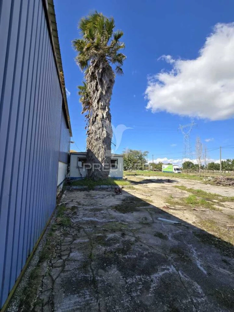 Armazém para Venda em Palmela Foto 4