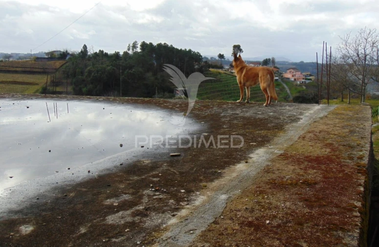Garagem para Venda em Abaças Foto 11