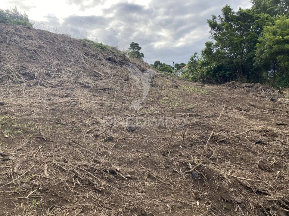 Terreno para Venda em Manadas (Santa Barbara) Foto 7