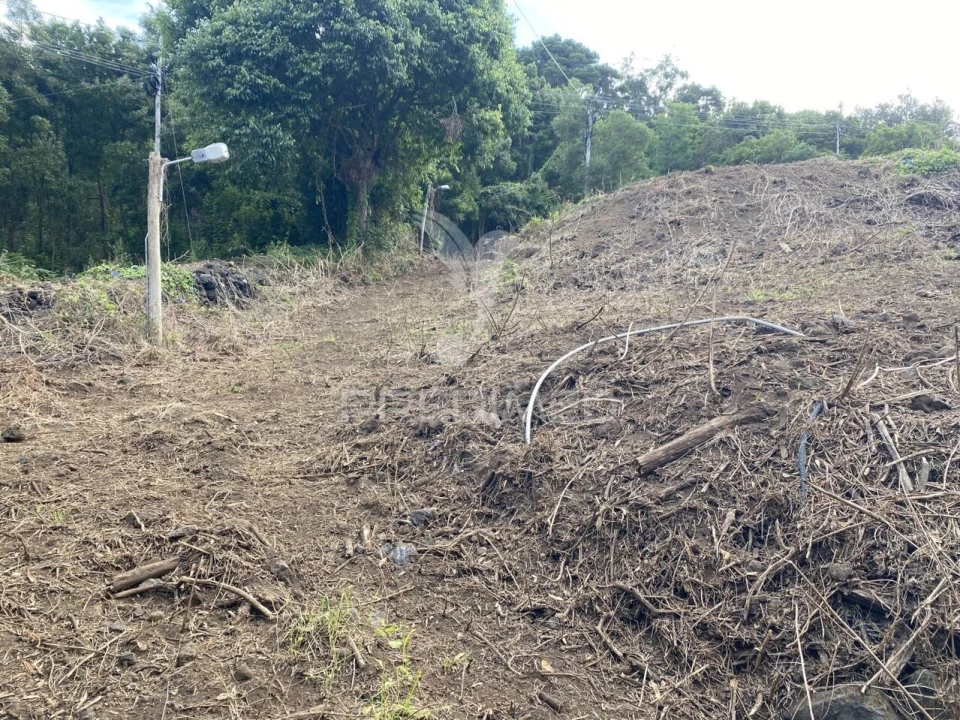 Terreno para Venda em Manadas (Santa Barbara) Foto 6