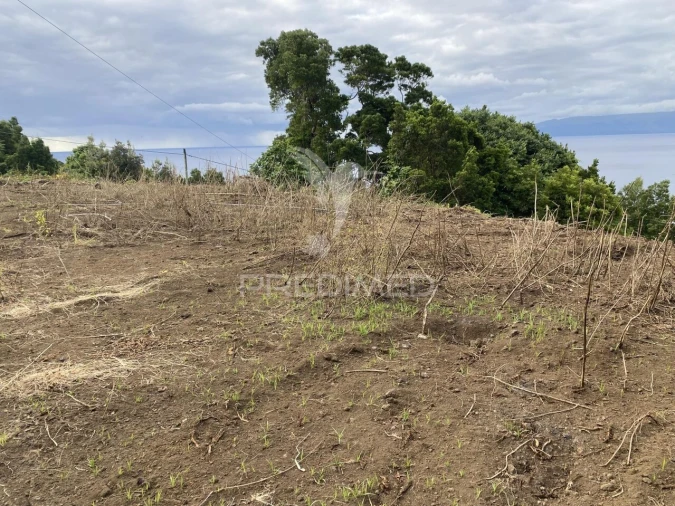 Terreno para Venda em Manadas (Santa Barbara) Foto 9