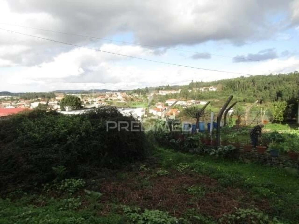 Terreno para Venda em Nogueira da Regedoura Foto 2