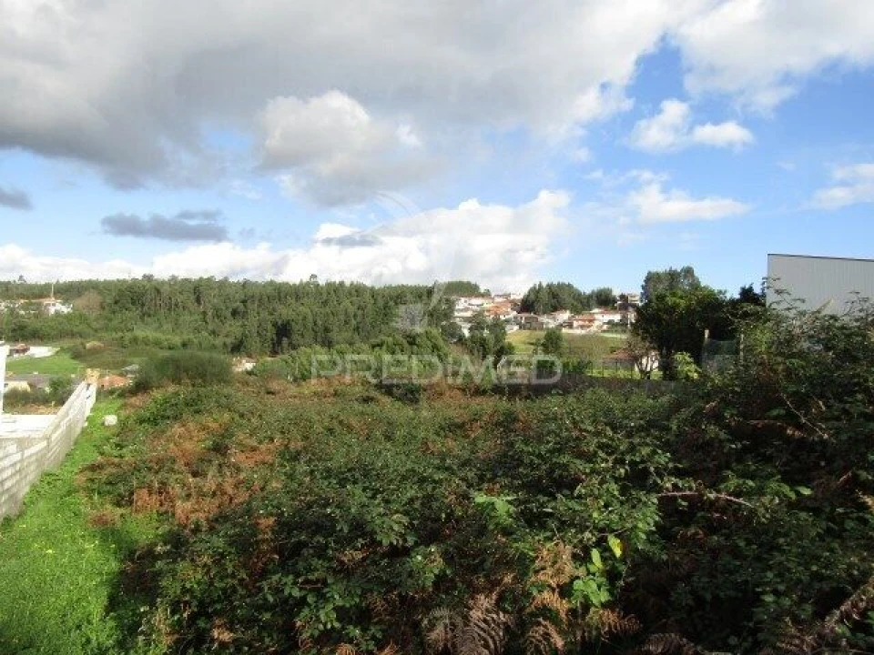 Terreno para Venda em Nogueira da Regedoura Foto 1