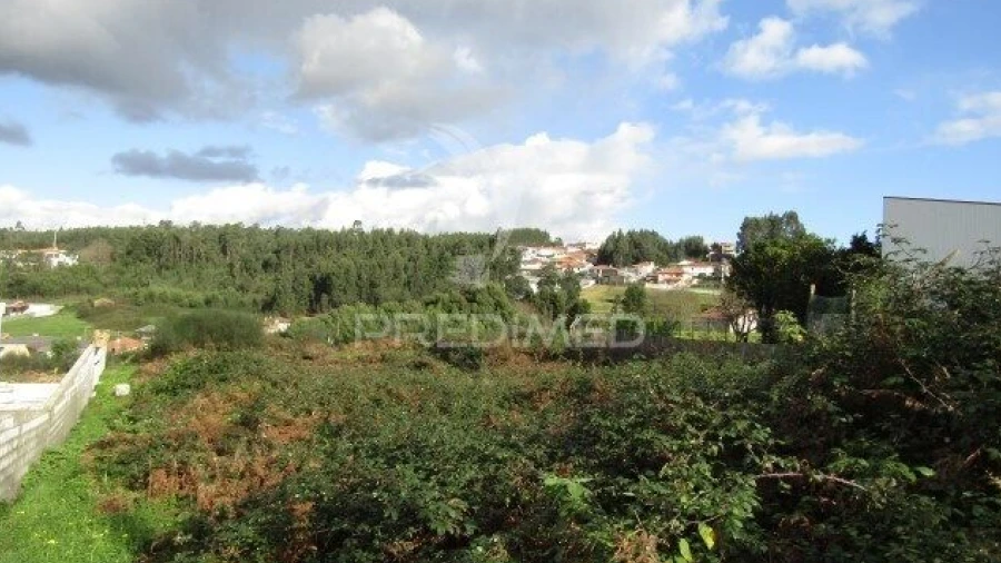 Terreno para Venda em Nogueira da Regedoura