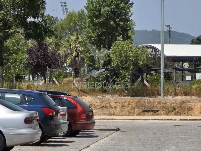 Terreno para Venda em Rio Maior Foto 5