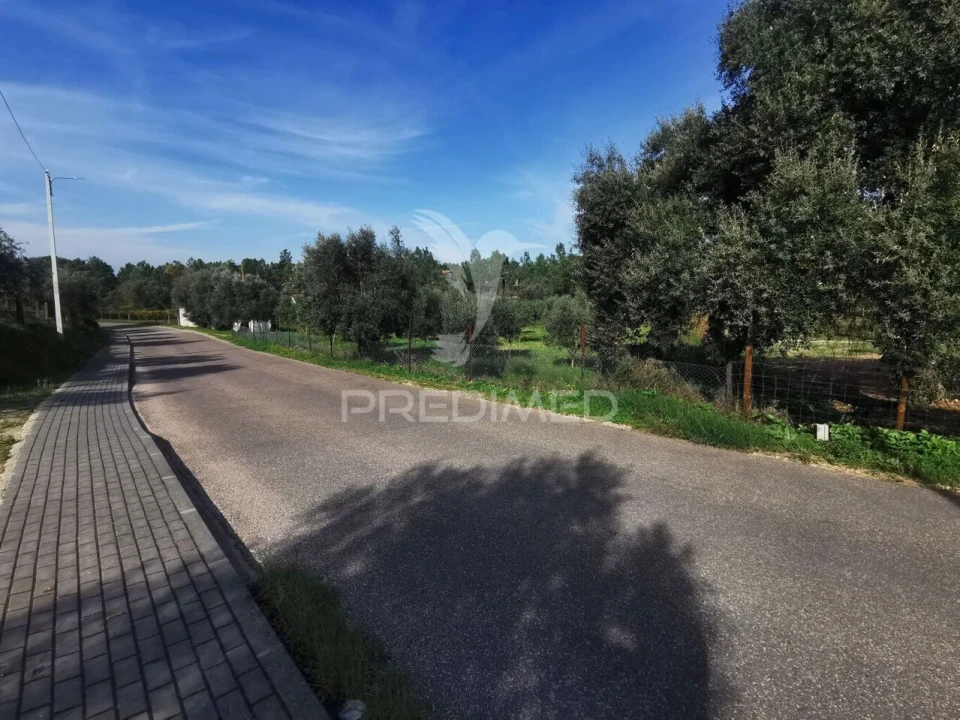 Terreno para Venda em Vila Nova da Barquinha Foto 6