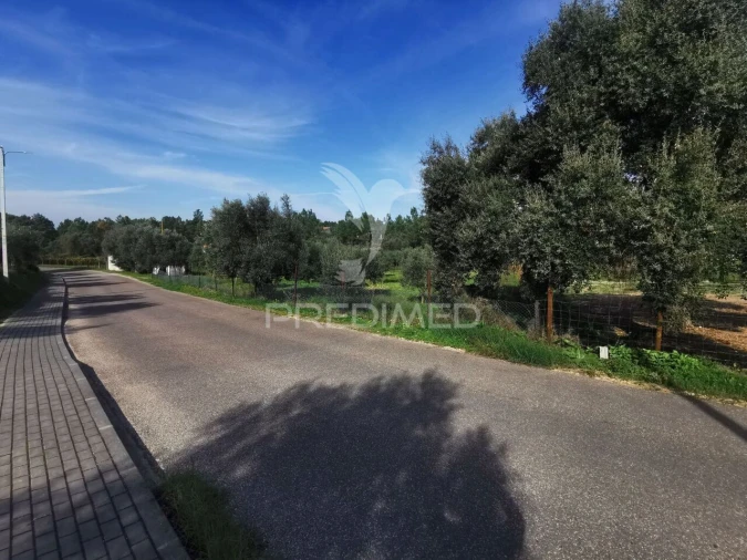 Terreno para Venda em Vila Nova da Barquinha Foto 5