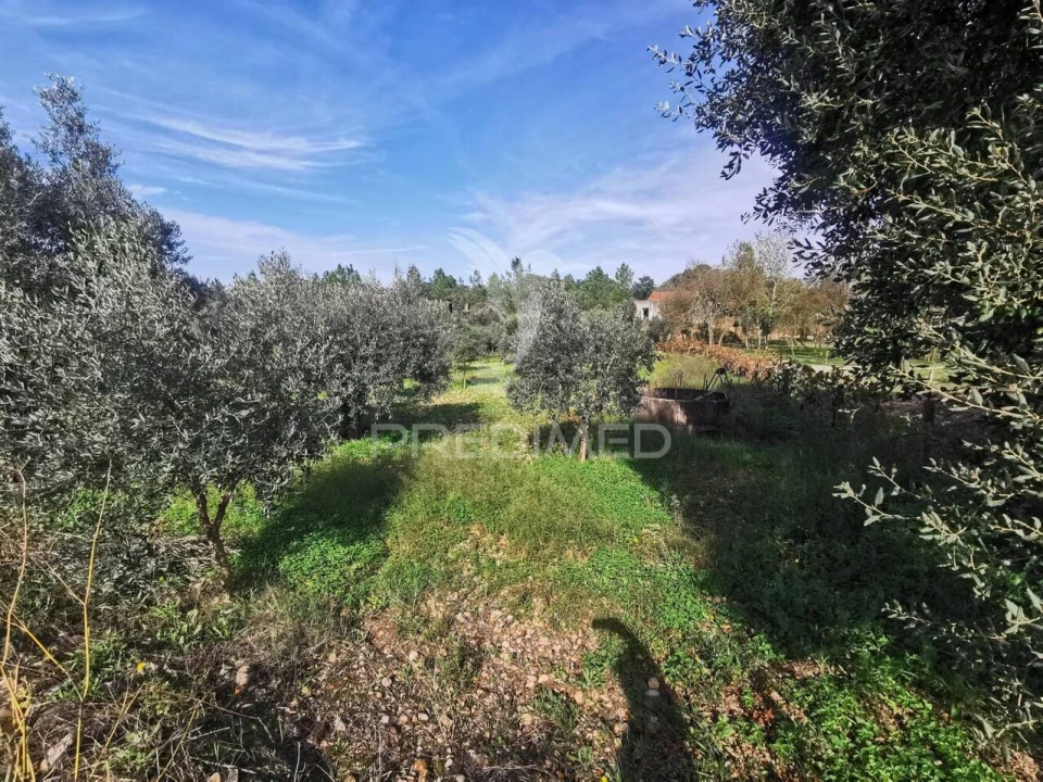 Terreno para Venda em Vila Nova da Barquinha Foto 8